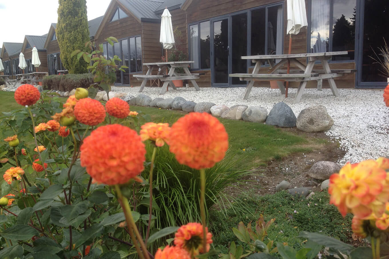 View of seating area outside Lakefront Lodge with orange dahlias in foreground